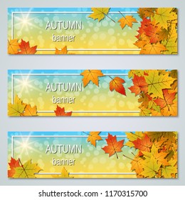 Autumn colorful leaves horizontal vector banners collection