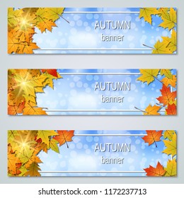 Autumn colorful leaves horizontal vector banners collection