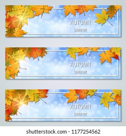 Autumn colorful leaves horizontal vector banners collection