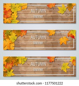 Autumn colorful leaves horizontal vector banners collection