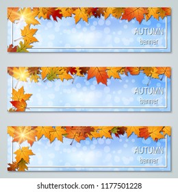 Autumn colorful leaves horizontal vector banners collection