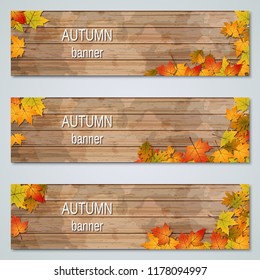 Autumn colorful leaves horizontal vector banners collection