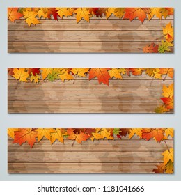 Autumn colorful leaves horizontal vector banners collection