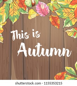 Autumn colorful leaves on wood background. Vector illustration