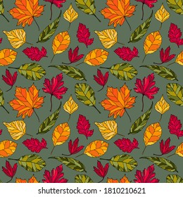 Autumn colorful leaves. Seamless pattern on a gray background. Birch, maple, willow, alder, hawthorn leaves.