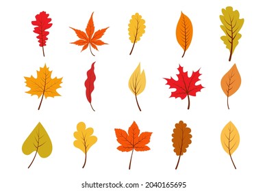 Autumn colorful leaves set. Yellow, orange, red foliage collection. Vector illustration.