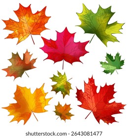 Autumn colorful maple leaves set. Vector watercolor hand drawn illustration. Fall seasonal vintage print floral design elements for banners, posters, greeting cards and invitations