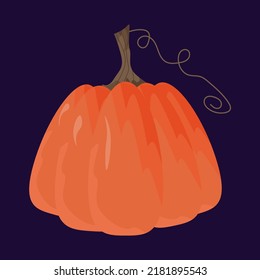 Autumn colorful pumpkin for Halloween decoration of the holiday symbol. Beautiful pumpkins harvesting. For use on banners, postcards, invitations, printing on clothes, mugs and much more