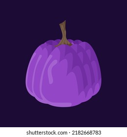 Autumn colorful pumpkin for Halloween decoration or decoration, harvest