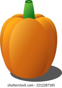 autumn colorful pumpkin in vector