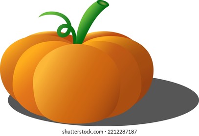 autumn colorful pumpkin in vector