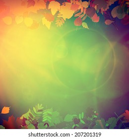 Autumn Colorful red and yellow leaves falling abstract. EPS10