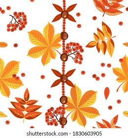 Patrón inmaculado y colorido de otoño sobre un fondo blanco. Follaje amarillo y rojo otoñal de árboles, castañas, bayas de rowan.