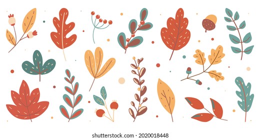 Autumn colorful set. Collection of hand drawn fallen leaves seasonal vector illustration