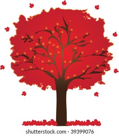 autumn colorful tree with leafs