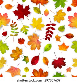 Autumn colorful  vector leaves seamless pattern. Autumn colorful 