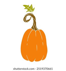 Autumn colorful vegetable of autumn pumpkins. Vector graphics.