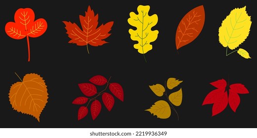 Autumn colorful yellow orange red tree leaves on a dark background