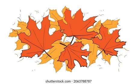 Autumn colorfull maple leaves diffrent sizes with line and color
