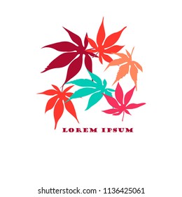 Autumn coloring maple leafs on white illustration, Lorem Ipsum design element stock vector illustration for web, for print