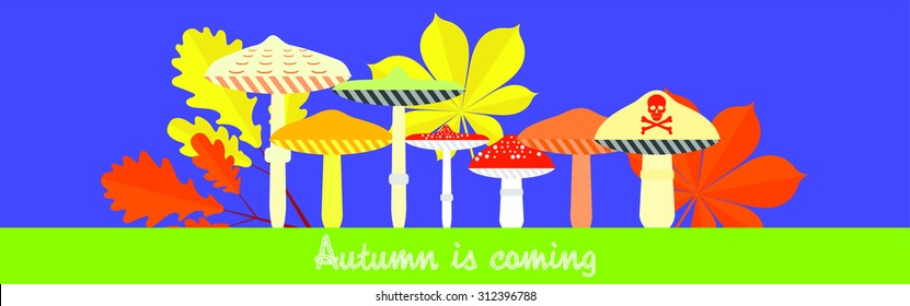 autumn is coming