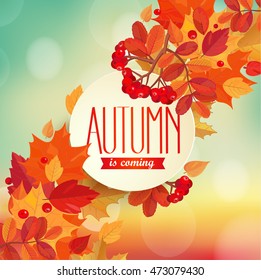 Autumn is coming - background with colorful leaves and frame with text. EPS 10 vector illustration.