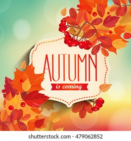 Autumn is coming - background with colorful leaves and vintage frame with text. EPS 10 vector illustration.