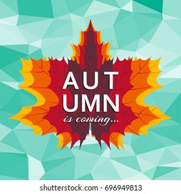 Autumn is coming background template with bright leaves. Vector illustration