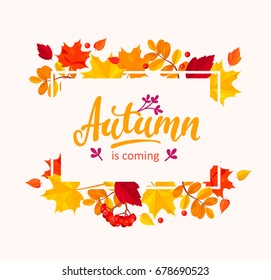 Autumn is coming banner with autumn leaves frame. Vector illustration.