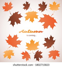 Autumn is Coming - Colorful Cover, Banner, Placard, Poster or Flyer Design with Fallen Autumn Leaves - EPS10 Vector Background Template