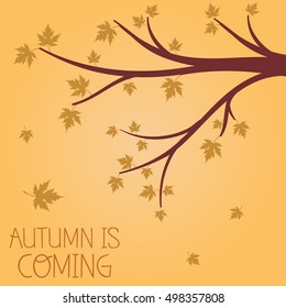 Autumn is coming concept. Vector Illustration design