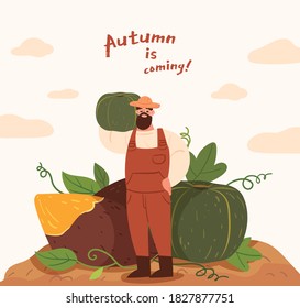 Autumn is coming. A farmer stands with a giant pumpkin and sweet potatoes. Cute autumn harvest concept illustration.