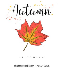 Autumn is coming. Autumn leaves. Hand drawn vector illustration.