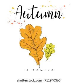 Autumn is coming. Autumn leaves. Hand drawn vector illustration.
