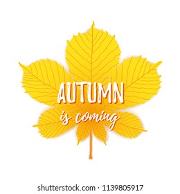 Autumn is coming text on maple leaf background. Vector autumn season banner. Greeting card with inscription, fall. Poster design with orange colorful imprints foliage. Concept advertising.