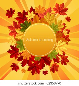 Autumn is coming. Vector illustration.
