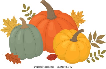 Autumn composition with colorful pumpkins and leaves. Still life harvest for thanksgiving day isolated on white background