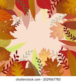Autumn composition. The frame is made of branches and leaves, warm colors. copy space