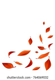 Autumn composition. Frame made of autumn leaves  on white background from top view, copy space