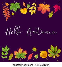 Autumn composition frame realistic fall leaves and inscription hello autumn. Vector illustration.