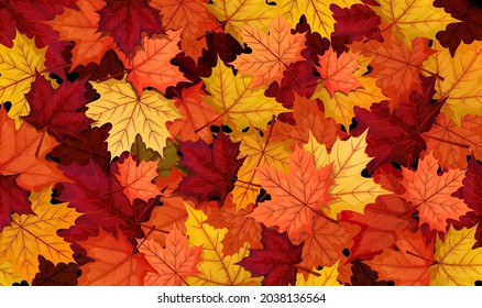 Autumn composition. Golden, yellow, red and orange maple leaves on black background. Concept of fall foliage. Vector illustration