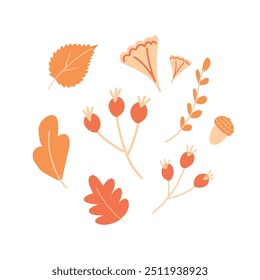 Autumn composition in hand drawn flat style. Vector illustration