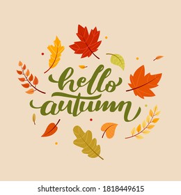 Autumn composition, autumn hello, autumn hand drawn 
cute and cozy design elements. Autumn season handwritten slogan. 