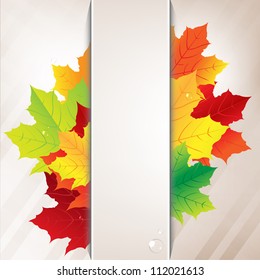 Autumn Composition From Leaves And Paper Banner, Vector Illustration