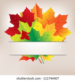 Autumn Composition From Leaves And Water Drops, Vector Illustration