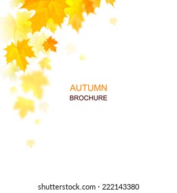 autumn composition with maple leaves 