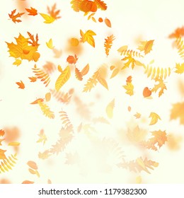 Autumn composition with maple leaves. EPS 10