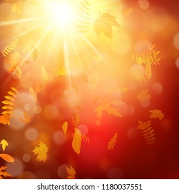 Autumn composition with maple leaves. EPS 10