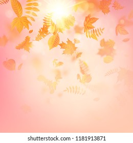 Autumn composition with maple leaves. EPS 10