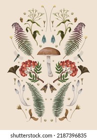 Autumn composition with mushrooms, berries and plants. Botanical vector.